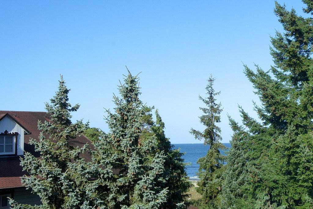 הרינגסדורף Inselstrand Inselstrand 1320 מראה חיצוני תמונה